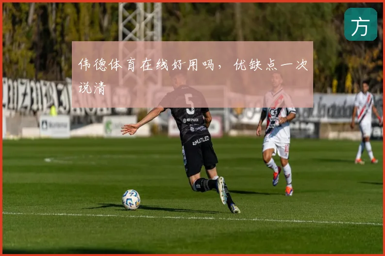 伟德体育在线好用吗,优缺点一次说清